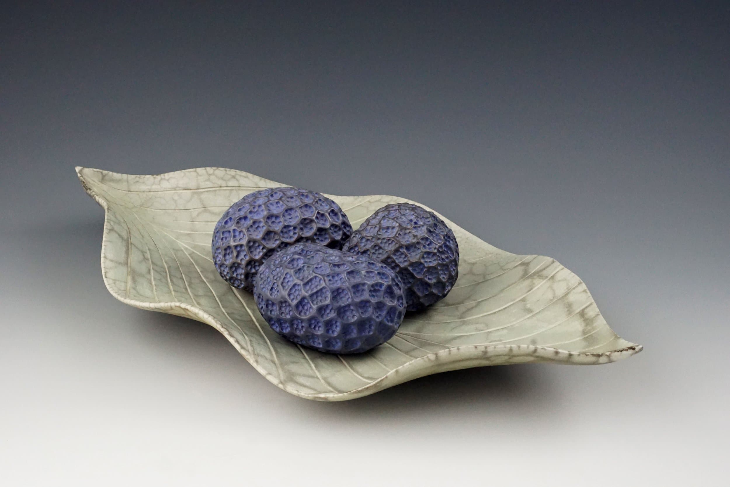 Judy Blake: Seed Vessels